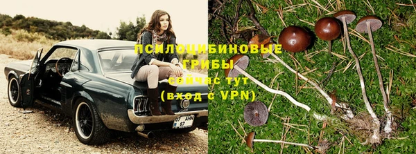 крисы Лихославль