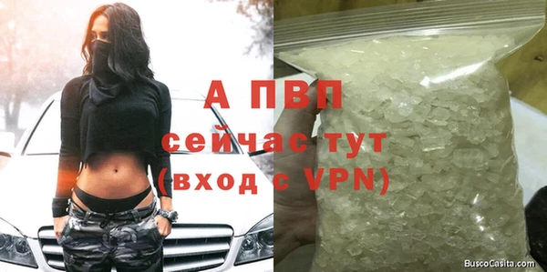 стафф Липки