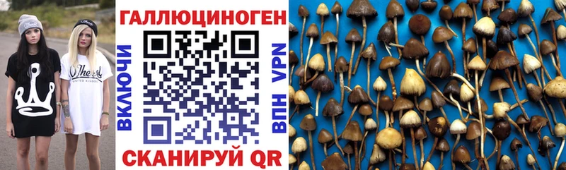 мориарти Telegram  сколько стоит  Самара  Псилоцибиновые грибы Cubensis 